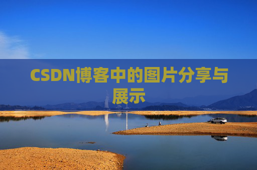 CSDN博客中的图片分享与展示